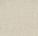 Desert Sand