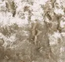 Champagne
