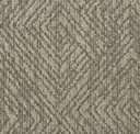 Jute