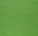 Pear 13
