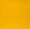 Dark Yellow 16