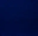 Navy 41