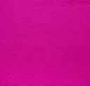 Fuchsia 6