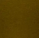 Olive 62