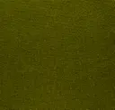 Moss 30
