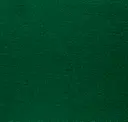 Forest 98