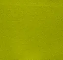 Lime 29