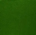 Basil 14