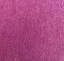 Heather Violet