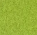446ml
