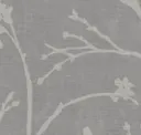 Dove
