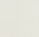 Parchment