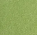 Kermit
