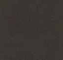 925