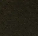 929