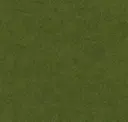 946