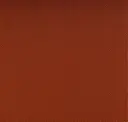 Brilliant Orange