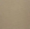 Dust