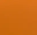 Pumpkin Orange