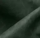 Dark Forest