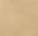 Peach Beige