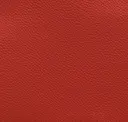 Chinese Lantern Red