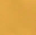 Eggnog Yellow