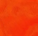 Fire Orange