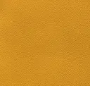 Sunflower Yellow
