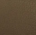 Fossil Taupe