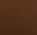 Cinnamon Brown