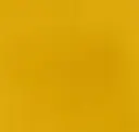 Sunflower Yellow