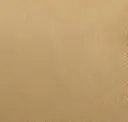 Ecru Beige