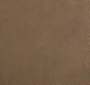 Cedar Taupe