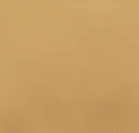 Light Salmon Beige