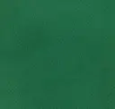 Water Lily Green