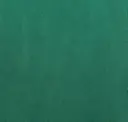 Jungle Green