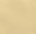 White Corn Beige