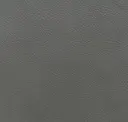Seal Grey