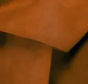 Pumpkin Orange