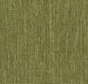Tropical Pine