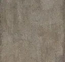 Dove
