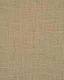 Sandstorm