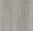 Fossil