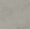 Fossil