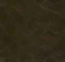Nessie