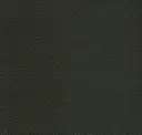 Alga