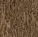 Alder