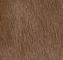 Bark