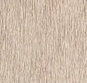 Birch